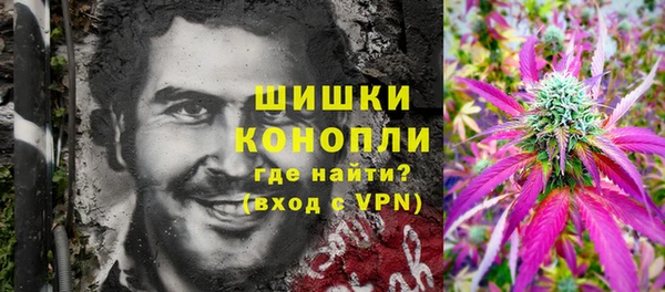 гидра Володарск