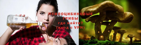 COCAINE Горно-Алтайск