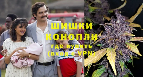 гидра Володарск