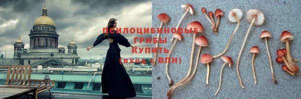 СК Горняк