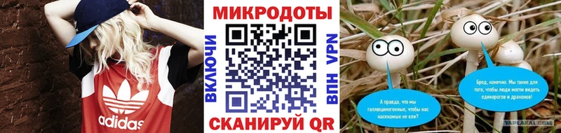 Купить где  Кузнецк  Галлюциногенные грибы мицелий 